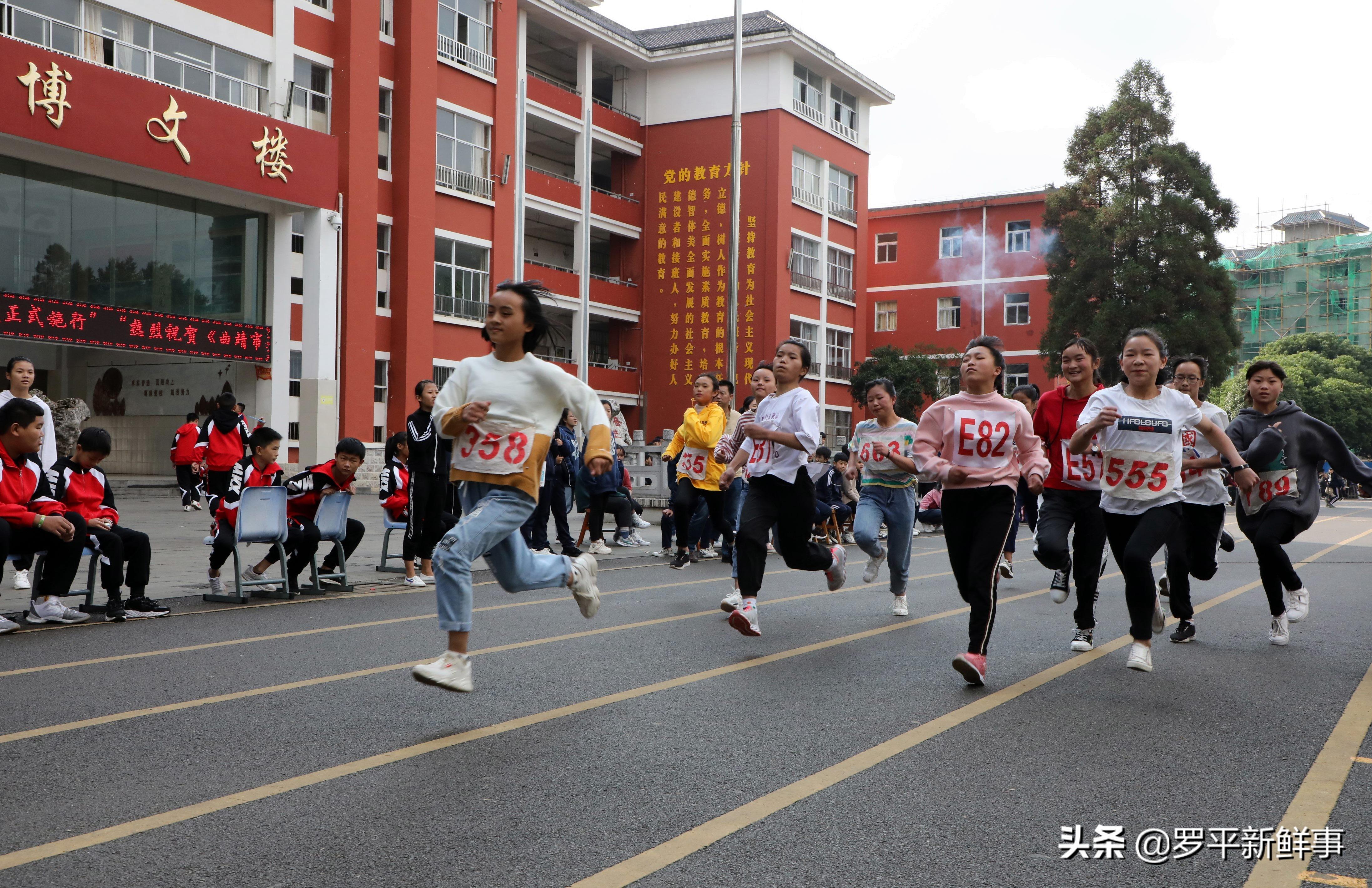 罗平县文化广电体育和旅游局最新项目，推动地方文化体育事业繁荣发展