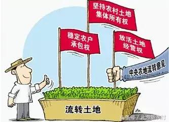 乃仁达果村最新人事任命及其深远影响
