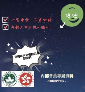 澳门与香港一肖一码一一特一中，全面释义、解释与落实