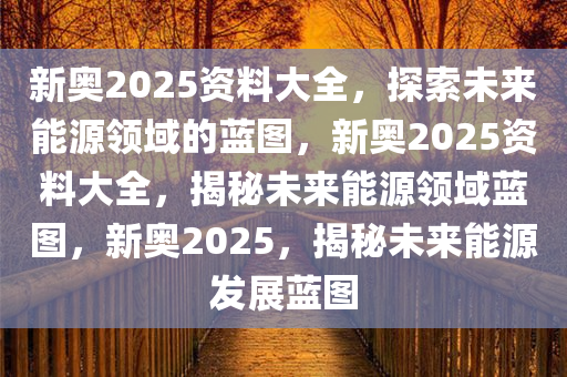 新奥资料网站2025，迈向数字化未来的蓝图