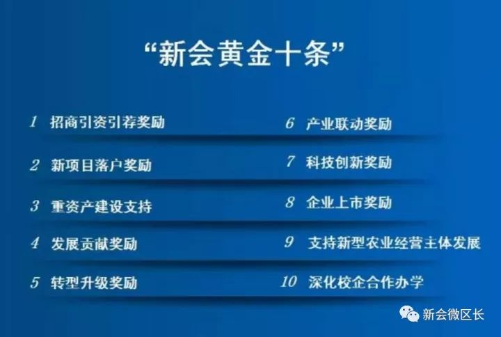 新澳2025最新资料大全与决策资料解释定义