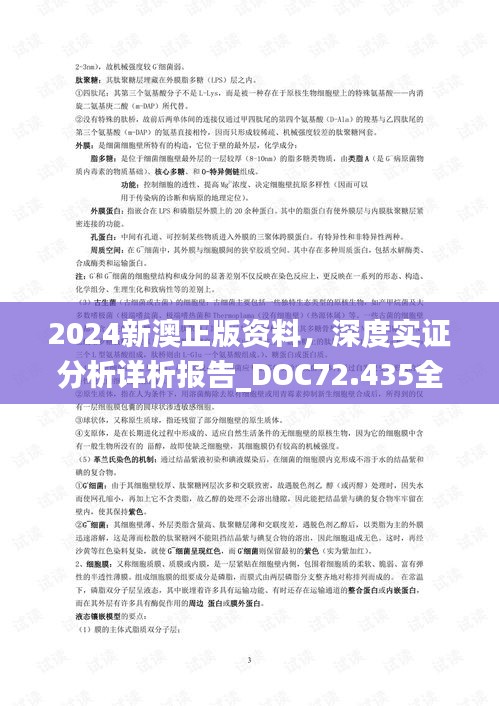 全面解析，2025年新澳正版资料查询方法与落实策略