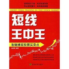迈向卓越之路，王中王一肖一中一特一中战略蓝图下的任务细化与落实策略到2025年