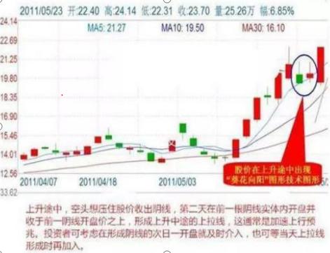 公开新澳2025最精准策略，详细解答、解释与落实
