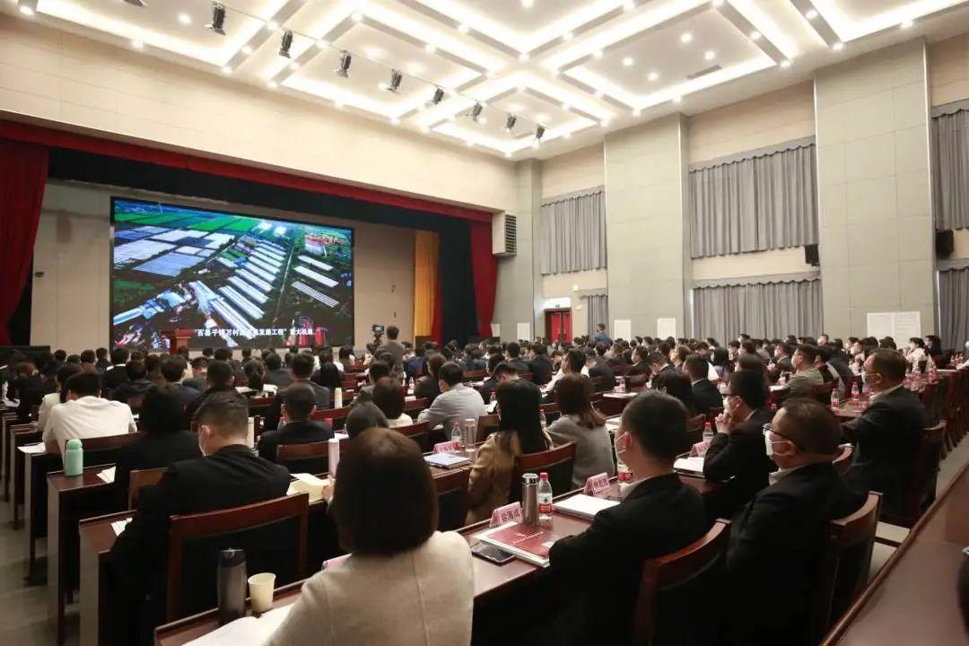 探索未来，澳门2025新战略下的免费精准服务全面释义与实施策略