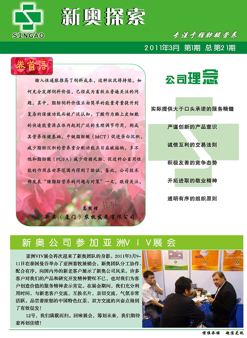 新澳2025年正版资料更新，全面释义解释与落实策略