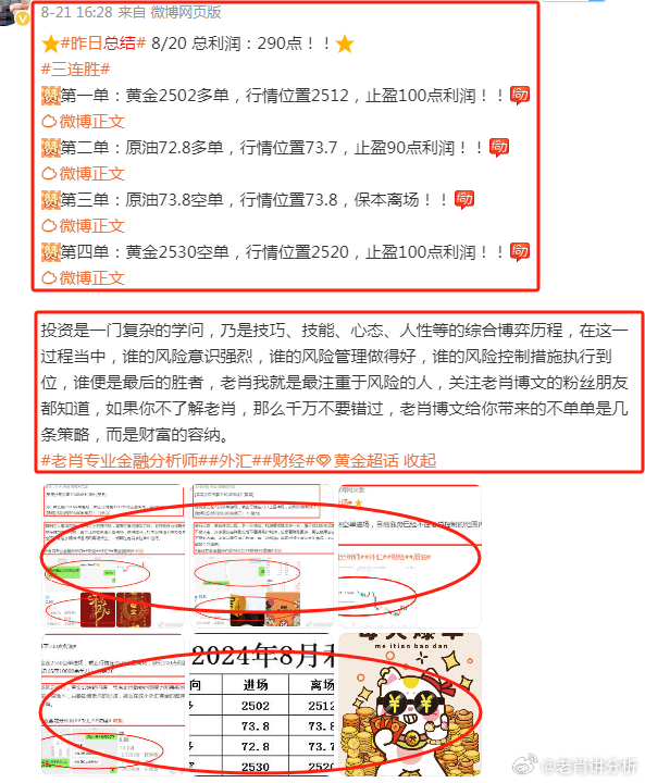 澳门管家婆精准图片，实证释义、解释与落实的重要性