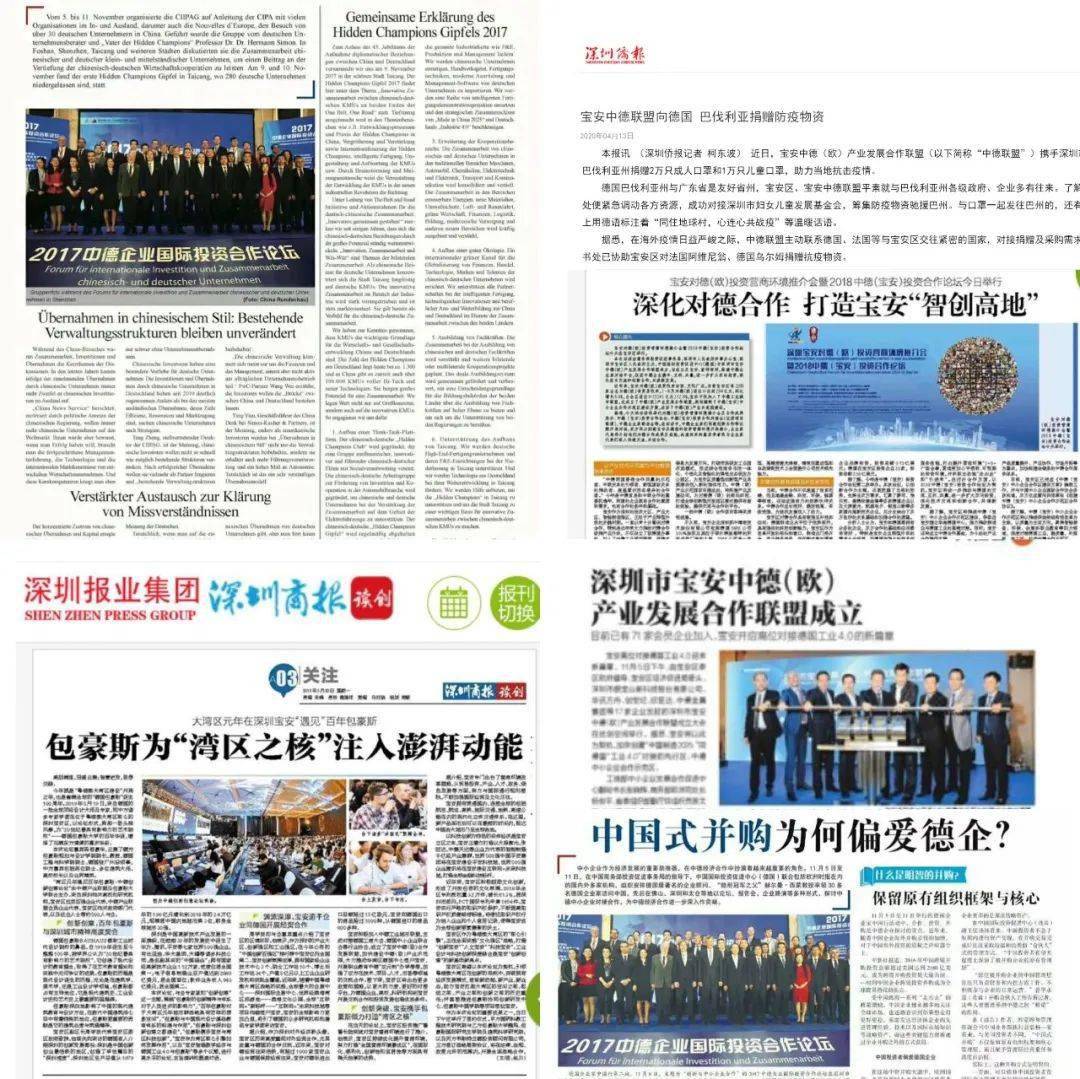 澳门王中王100%的资料与虚假宣传的警惕—全面释义落实的探讨（2025年）