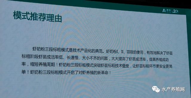 新澳2025资料大全免费，高效回顾方案与经典版内容详解