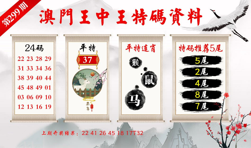 揭秘澳门王中王资料，精准解答与落实的奥秘之旅