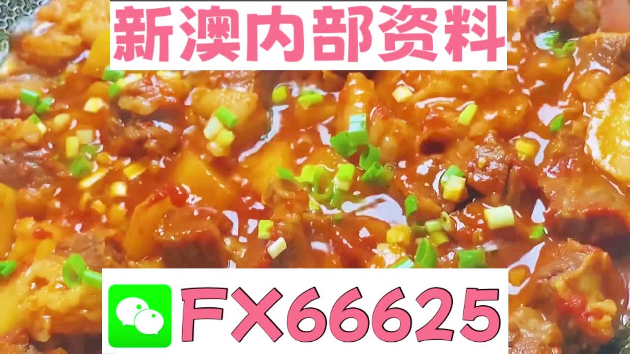 新澳准确内部彩资料大全最新版本，详细解答、解释与落实
