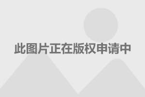 2025年4月6日 第60页
