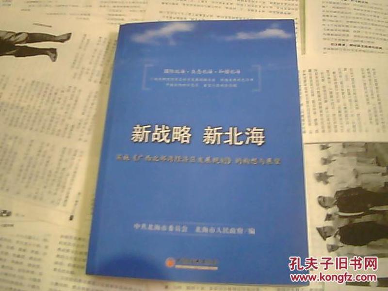 澳门与香港的未来展望，精准发展的蓝图与落实策略