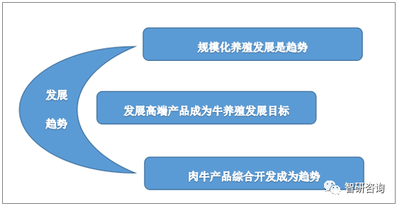 新澳2025最新资料大全及其决策资料解释定义