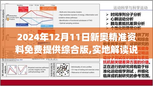 深度解读，2025新奥精准资料免费大全078期