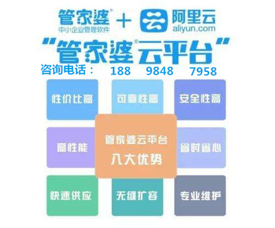 管家婆三期必开一期官方版概述