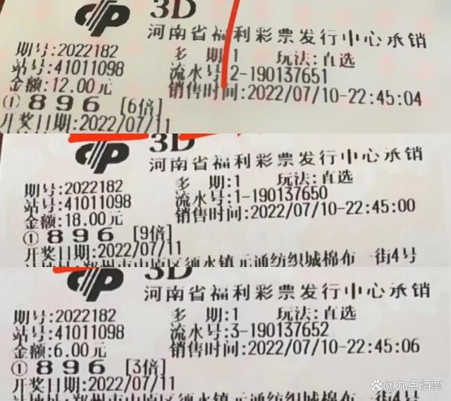 探索未来彩票世界，2025年天天彩免费资料与澳门天天精准好彩的24码之谜