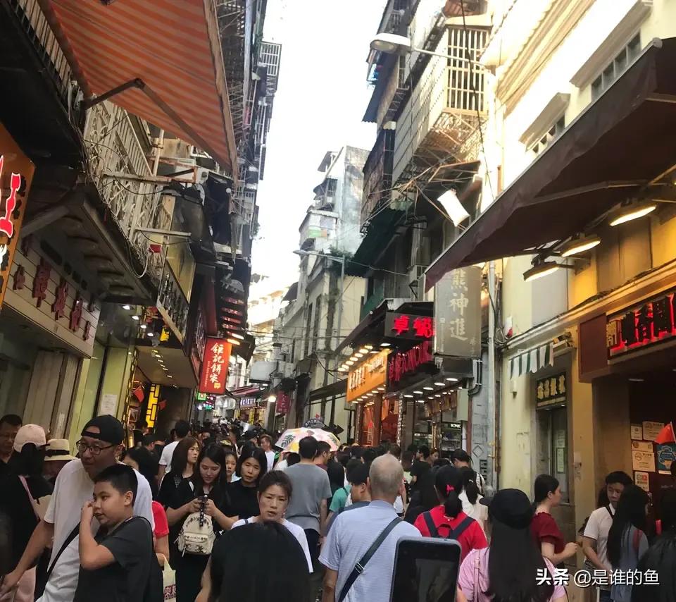 澳门最快最精准免费一日游攻略，人少景美，完美体验澳门魅力