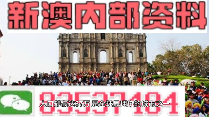 揭秘新澳门正版免费资料的查找方法，强烈推荐，效果显著
