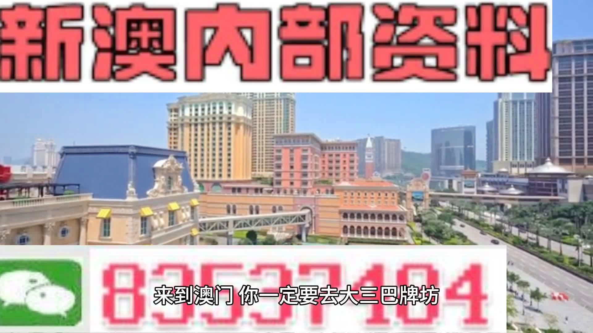 新澳门精准免费大全，一网打尽攻略秘籍