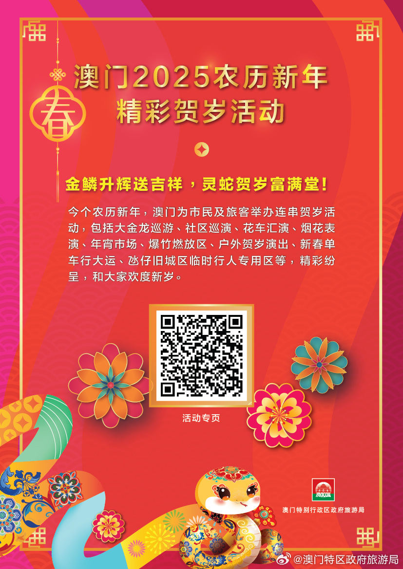 2025新澳门王中王资料的精准解读与落实策略