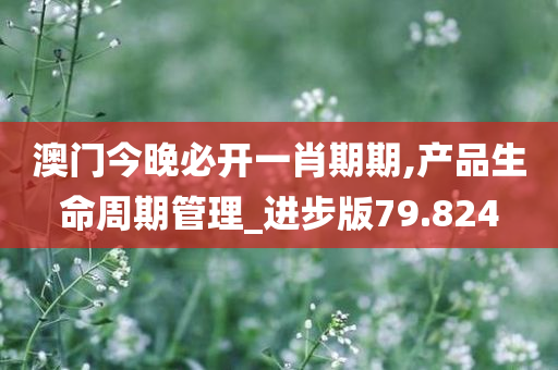 新澳2025年最新版资料概览