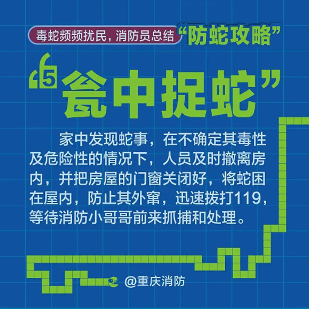 2025年4月 第153页