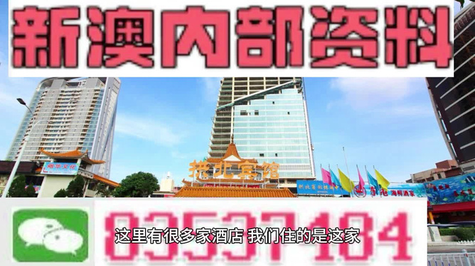 新澳新澳门正版资料与真实数据的定义解释