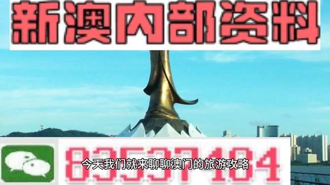 新澳门精准免费大全，一网打尽攻略秘籍