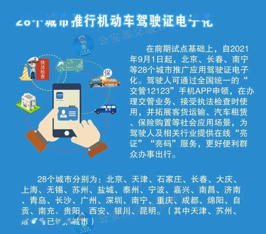 迈向2025年，正版资料免费大全的实证释义、解释与落实策略